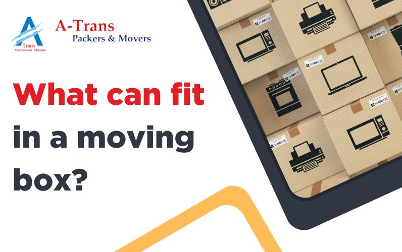 What Can Fit in a Moving Box?